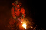 <p>A hand crew member with the California Department of Corrections and Rehabilitation sets a backfire with a driptorch along Summit Road during the Loma Fire near Santa Cruz, California, U.S. September 27, 2016.(Stephen Lam/Reuters) </p>