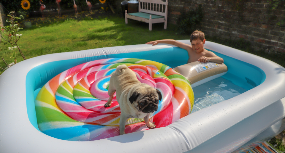 little boy and dog on floatie in inflatable pool in backyard, self-inflating pool