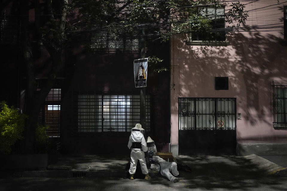 Adriana Veliz and members of her group Abeja Negra SOS, wearing bee suits to protect themselves from stings, rescue a beehive that made its nest inside a lamp post base in Mexico City, Thursday, June 8, 2023. “We’re an alternative so that the emergency teams don’t exterminate them. We give them a second chance,” Veliz said. (AP Photo/Eduardo Verdugo)