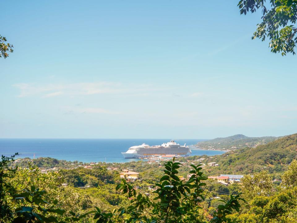 Cruise port in Honduras: plants eco park hike