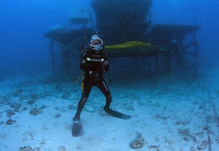 Fabien Cousteau is pictured on his first dive outside the marine laboratory Aquarius in this undated handout photo obtained by Reuters July 2, 2014. REUTERS/Kip Evans/Mission Blue/Handout via Reuters