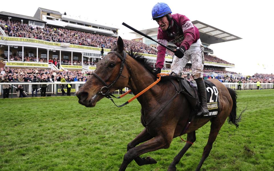 Rule The World was last year's winner at Aintree - Rex Features