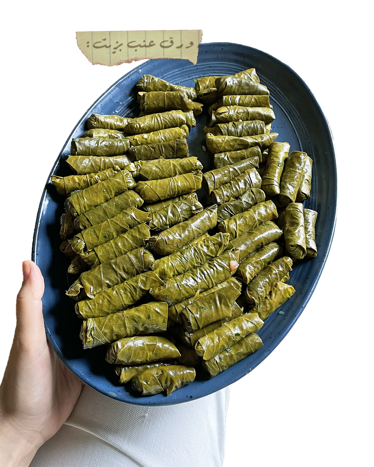 A plate of rolled grape leaves. (Courtesy Zeina Zeitoun / TODAY Illustration / Getty Images)