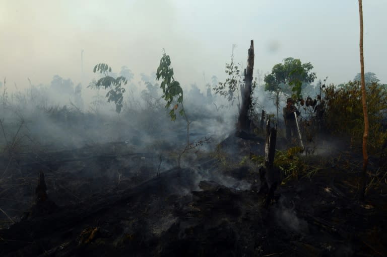 An area of forest smoulders at a palm oil concession in the Kampar district, Riau province on Sumatra island on June 29, 2013