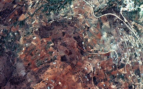 Coffee plantations seen from the air in Brazil - Credit: UK Space Agency