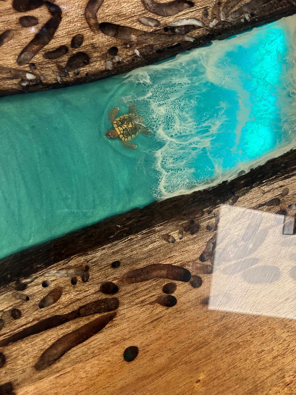 A tiny turtle replica "swims" through the bar at the Tiny Turtle in Cocoa Beach. The bar top was made from a log that washed up on the beach after Hurricane Irma.