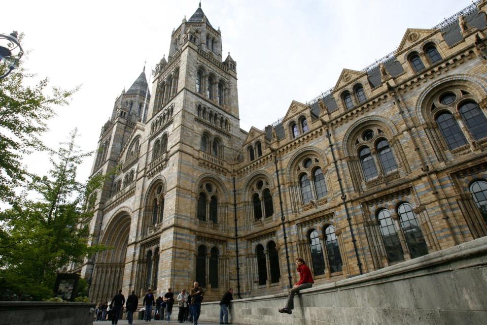 The Natural History Museum in South Kensington (Johnny Green/PA) (PA Archive)