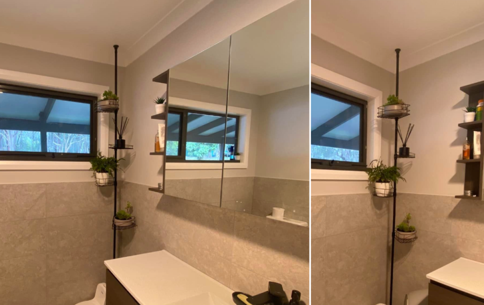 Kmart shower caddy transformed into plant pole in bathroom