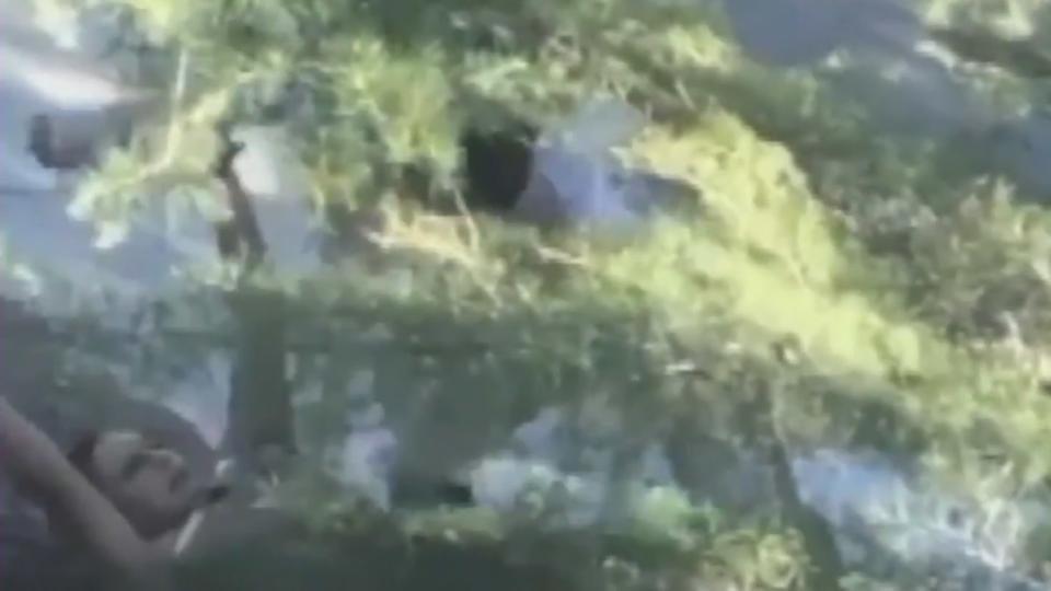 Video captured by a neighbor shows the violent assault on a San Bernardino County Sheriff's Deputy in which her firearm was taken by a suspect who shot at her with it on Sept. 4, 2019. (@esteebanana)