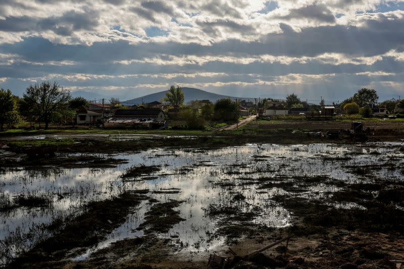 FILE PHOTO: Still-flooded fields in Greek village of Keramidi