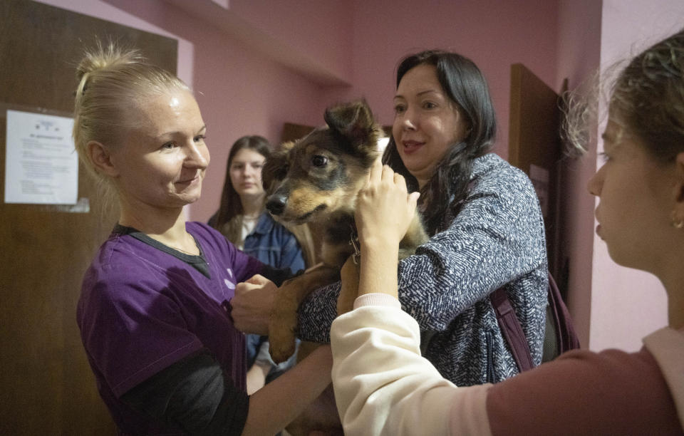 Volunteers bring a dog to a pet shelter in Kyiv, Ukraine, Tuesday, July 19, 2022. Shellshocked family pets started roaming around Ukraine's capital with nowhere to go in the opening stages of Russia's war. Volunteers opened a shelter to take them in and try to find them new homes or at least some human companionship. (AP Photo/Efrem Lukatsky)