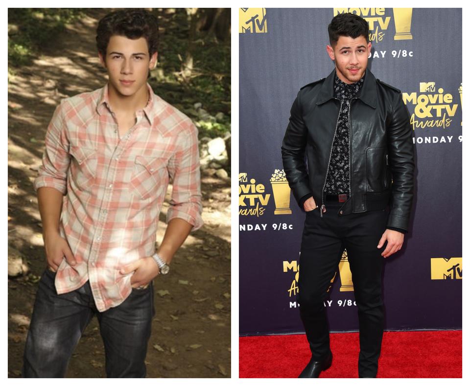 Nick Jonas (Nate)