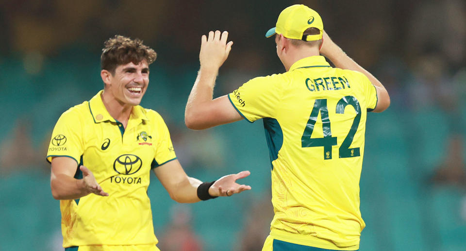 Seen here is Aussie cricket star Sean Abbott.