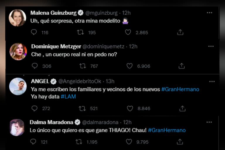 Famosos opinaron sobre Gran Hermano (Captura Twitter)