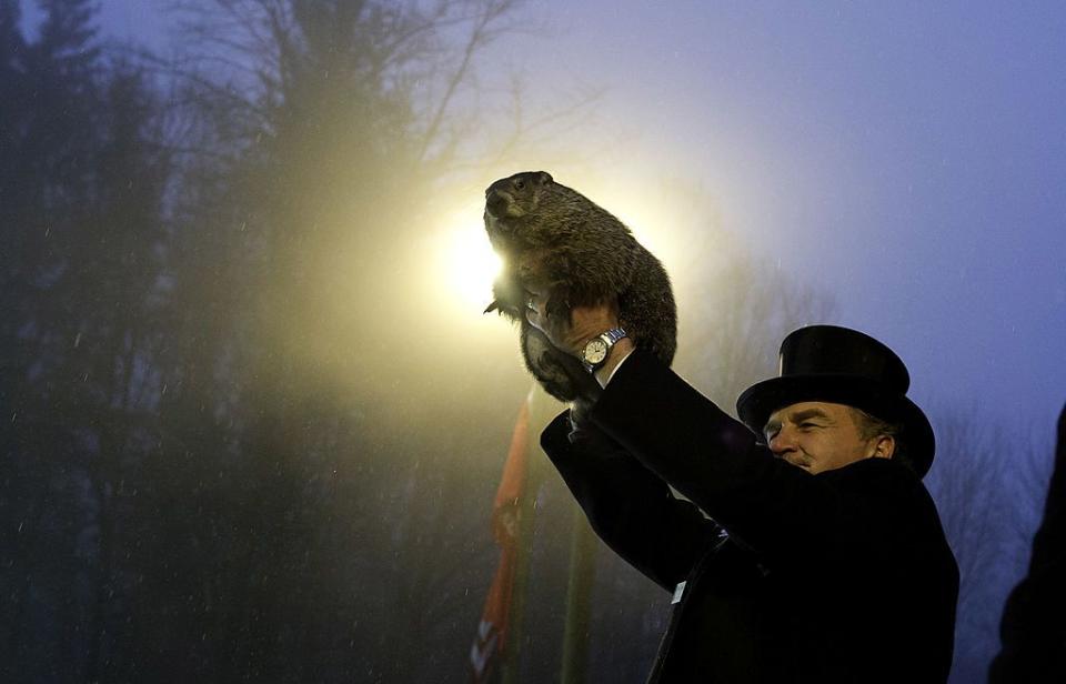 groundhog handler john griffiths holds punxsutawney phil after he saw his shadow