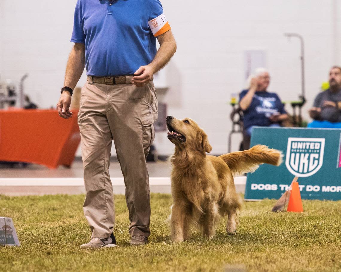 The United Kennel Club (UKC) Total Dog Invitational will be at the Kentucky Horse Park’s Alltech Arena this weekend.