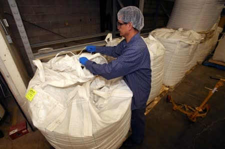 Canola meal at Burcon's alternative meats protein lab in Winnipeg