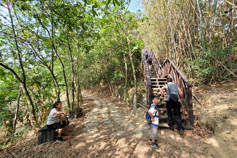 台中大坑六號七號登山步道