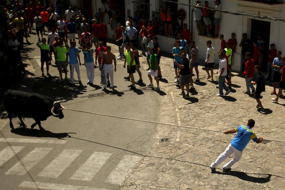 Cuerda que arrastra al toro