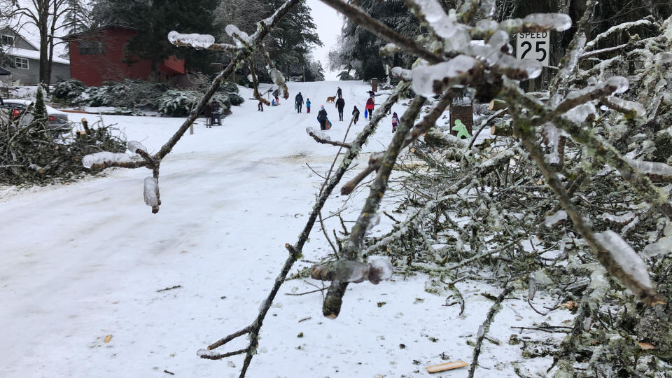 People play outdoors in Lake Oswego, Ore., Saturday, Feb. 13, 2021. The tree fell during an ice and snowstorm that left hundreds of thousands of people without power and disrupted travel across the Pacific Northwest region. (AP Photo/Gillian Flaccus)