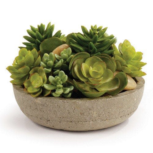 Pots filled with a mix of succulents can produce a lush arrangement in tiny or huge pots. tuvaluhome.com. (Gannett/File) ORG XMIT: GANNETT [Via MerlinFTP Drop]