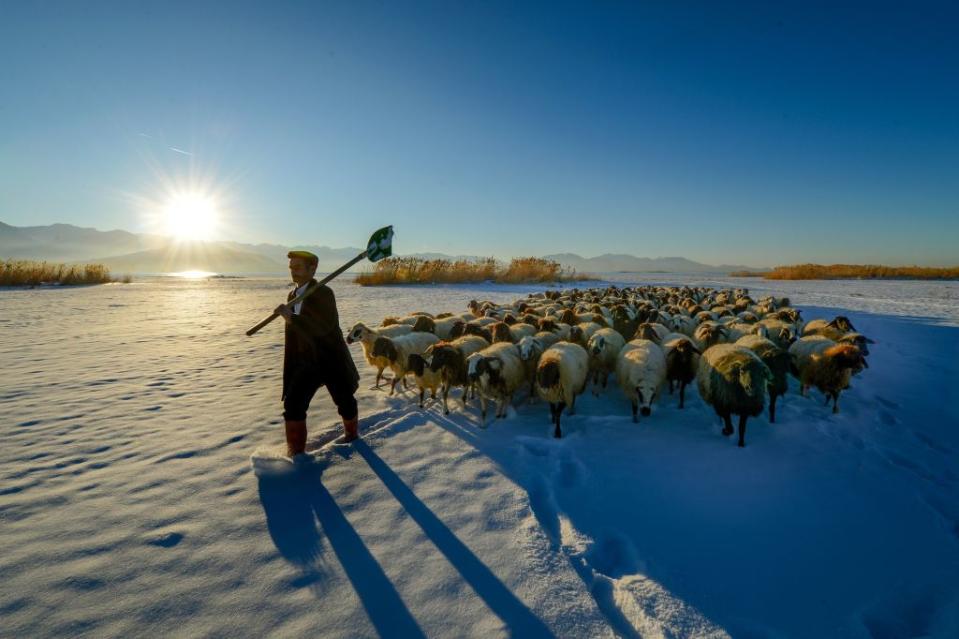 Herding in Turkey’s Van