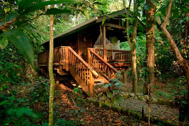 <p>ZUMA Press, Inc. / Alamy</p> A cabin at the Lodge & Spa at Pico Bonito, which is set in a cloud forest.