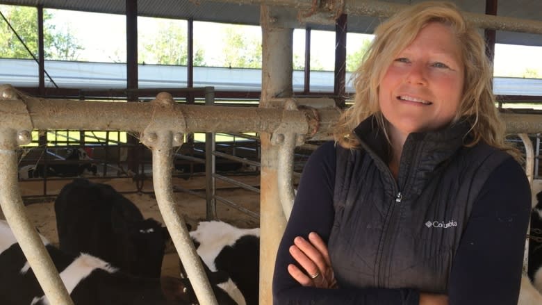 Flood-stricken dairy farmers hope to move herd to drier ground