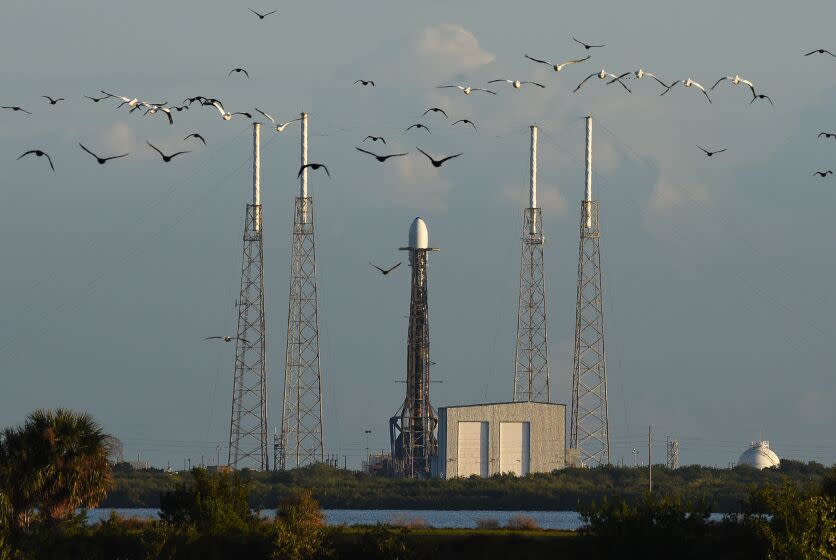 FLORIDA, USA - JANUARY 13: Birds fly past a Falcon 9 rocket carrying the Grizu-263A satellite for Turkey as part of the SpaceX Transporter-3 rideshare mission prior to launching from pad 40 at Cape Canaveral Space Force Station on January 13, 2022 in Cape Canaveral, Florida. The Grizu-263A, which is designed to photograph the earth, is Turkeyâs first mini satellite. (Photo by Paul Hennessy/Anadolu Agency via Getty Images)