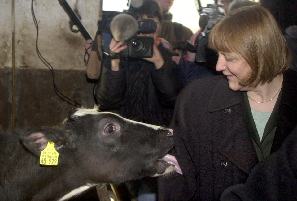 Das sind die witzigsten Bilder von Angela Merkel