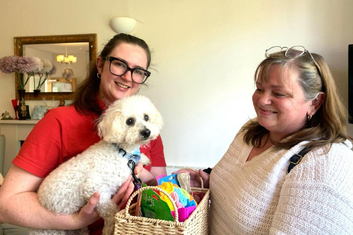 Four-year-old rescue poodle Millie at Headington Care Home <i>(Image: Headington Care Home)</i>