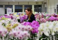 Royal FloraHolland is working with the fruit and vegetable industry to try and find a way to avoid fresh produce being held up at borders after Brexit