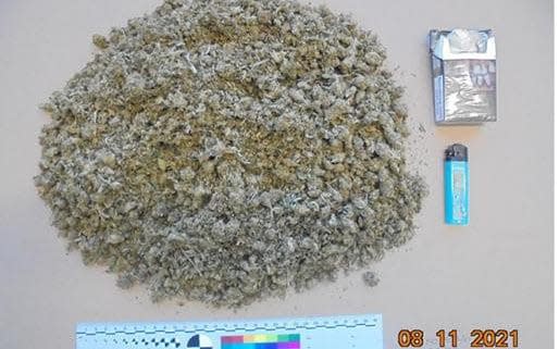 Cannabis seized by police