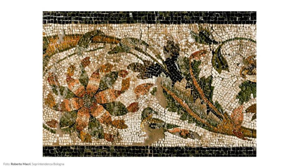 Previous excavations revealed multicolored mosaics, according to officials.
