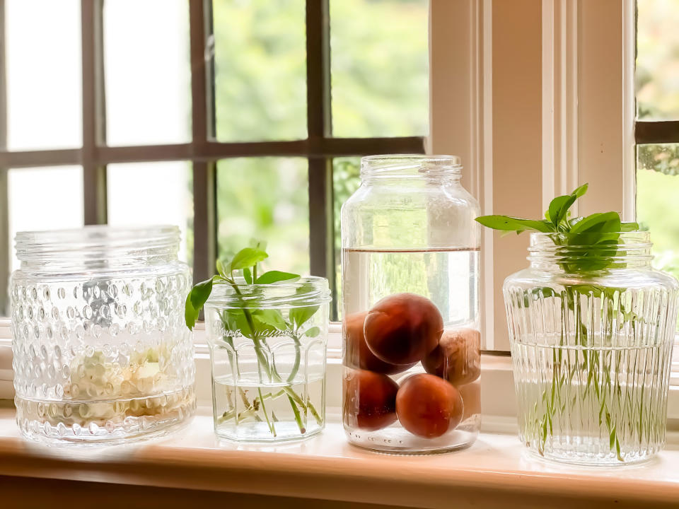 growing avocados and herbs on an apartment windowsill