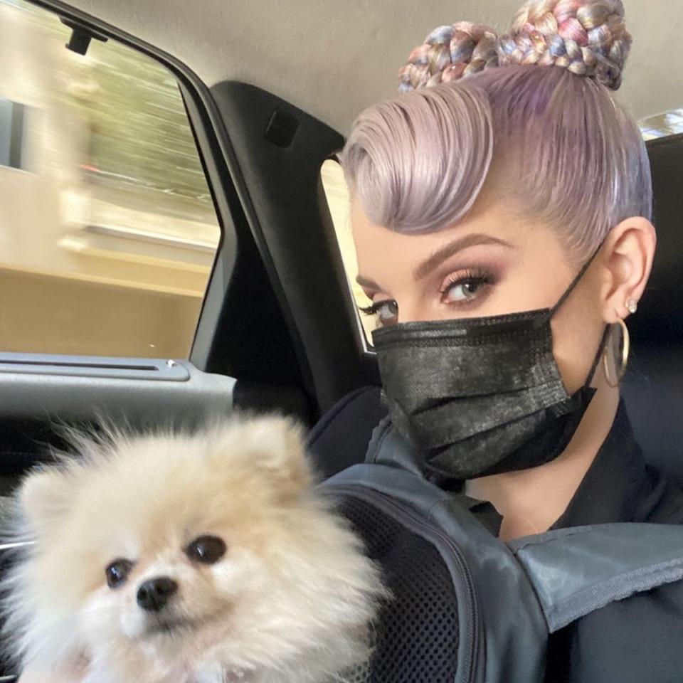 <p>Reality star Kelly Osbourne revealed on July 22 that <a href="https://people.com/pets/kelly-osbourne-dog-polly-dies/" rel="nofollow noopener" target="_blank" data-ylk="slk:her Pomeranian died;elm:context_link;itc:0;sec:content-canvas" class="link ">her Pomeranian died</a> due to a pulmonary heart defect.</p> <p>"I promised myself that I would take a break from social media for the summer... however I thought I should let you all know that this week I lost my Polly 😭 to pulmonary heart defect," Osbourne <a href="https://www.instagram.com/p/CRoKjC3rIS4/" rel="nofollow noopener" target="_blank" data-ylk="slk:announced;elm:context_link;itc:0;sec:content-canvas" class="link ">announced</a> on Instagram.</p> <p>"She has been by my side for 6 years. I do not [know] how to go on without her. To say I'm devastated is an understatement," the singer continued. "I have never felt pain like this. I have lost my shadow. I don't think I will ever get over this. My heart is broken. I am broken!!!"</p>
