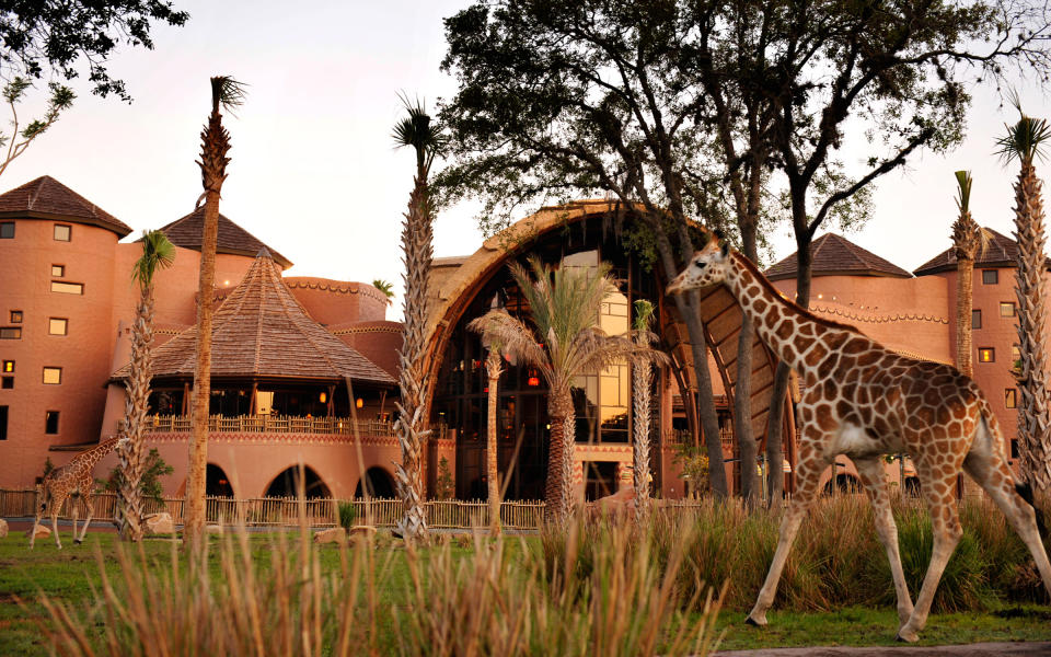 Disney’s Animal Kingdom Lodge