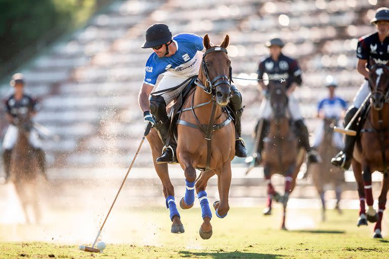 Ellerstina vs La Ensenada