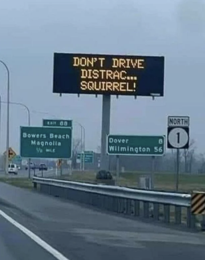 Highway electronic sign reads: "DON'T DRIVE DISTRACT... SQUIRREL!" Road signs direct to Bowers Beach, Magnolia, Dover, and Wilmington