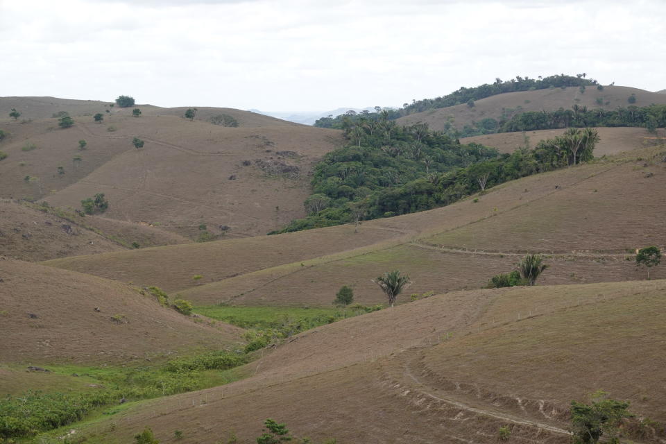 A landscape which is mostly deforested, Atlantic Forest, Murici, Brazil