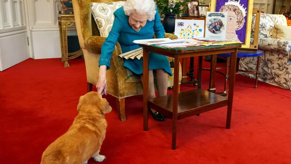 THE QUEEN INVENTED A NEW DOG BREED