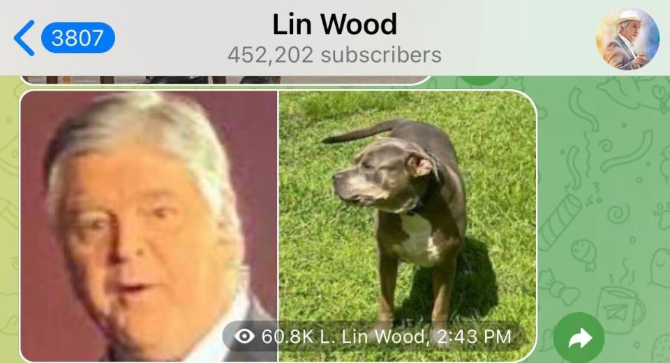 <div class="inline-image__credit">Screenshot of Lin Wood's Telegram</div>