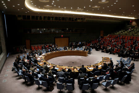 The United Nations Security Council meets to hear a briefing by Nickolay Mladenov, U.N. Special Coordinator for the Middle East Peace Process and Personal Representative of the Secretary-General, during a council meeting on the situation in the Middle East at U.N. headquarters in New York City, New York, U.S., March 24, 2017. REUTERS/Mike Segar