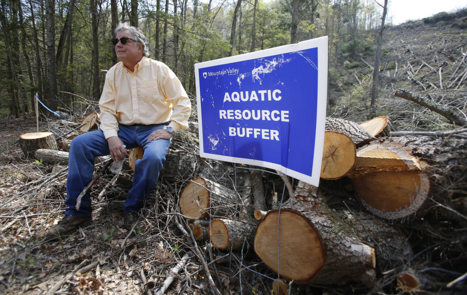 FILE - In this May 3, 2018, file photo, beekeeper Constantine Chelpas sits on a section of downed trees on the route of the proposed Mountain Valley pipeline near his property in Lindside, W.Va. A Virginia-based legal group is asking the U.S. Supreme Court to end what it says has become an abuse of eminent domain by companies that build natural-gas pipelines. (AP Photo/Steve Helber, File)