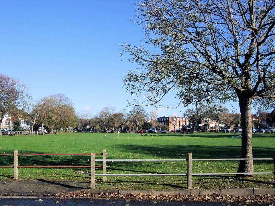 Southwick and Shoreham CC’s ground - The Green - is surrounded by houses  (Paul Gillett/Geograph/CC BY-SA 2.0)