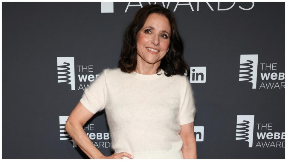 Julia Louis-Dreyfus attends the 28th annual Webby Awards at Cipriani Wall Street on Monday, May 13, 2024, in New York. (Photo by CJ Rivera/Invision/AP)