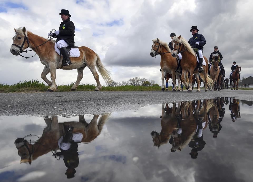 Men on horses reflected in puddle