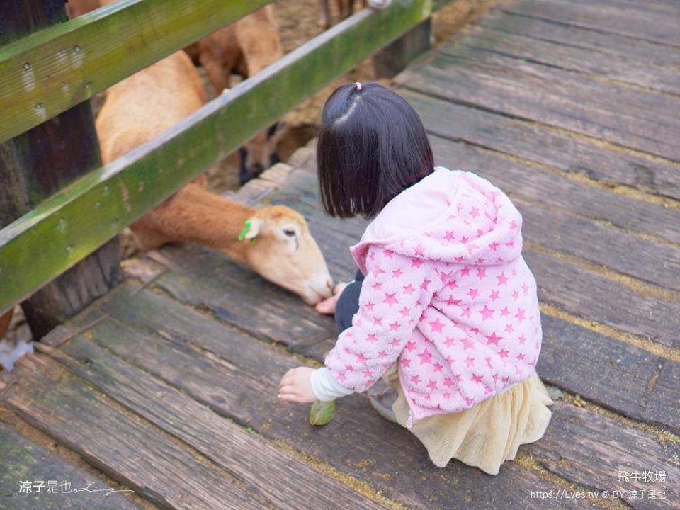 苗栗飛牛牧場兩天一夜親子遊