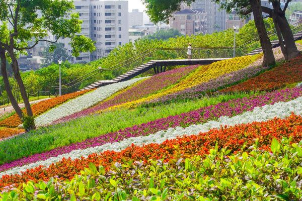 北投三層崎花海花毯。   圖：台北市工務局／提供