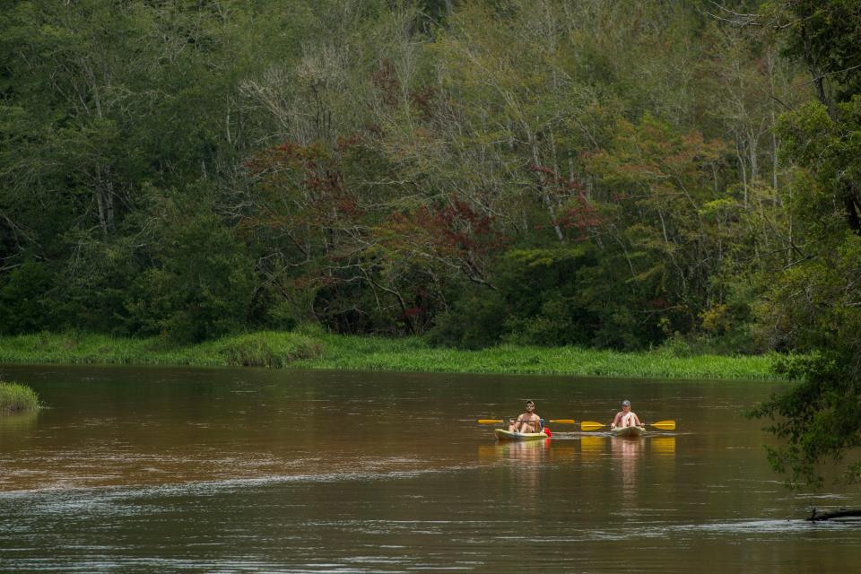 Visitors kayak on the river Saturday, August 11, 2018 at Blackwater River State Park.